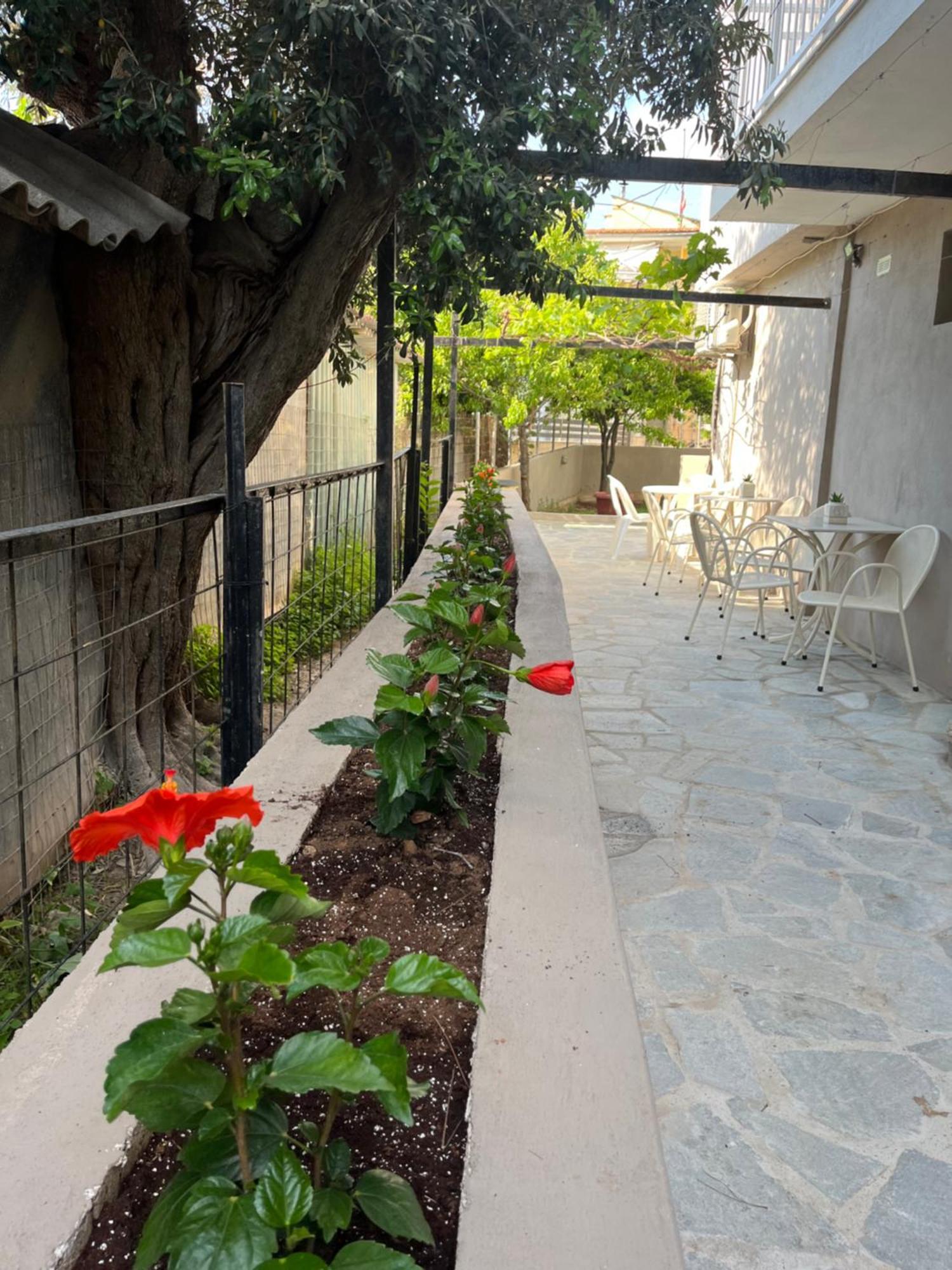 Grecian Sea Hotell Limenaria  Exteriör bild